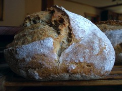 Sourdough crumb